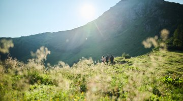 Wanderung Kuhgehren @Kleinwalsertal Tourismus Oliver Farys (378).jpg