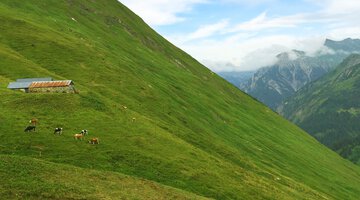 Obere Spitalalpe (unbewirtschaftet)