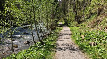 Wanderweg an der Breitach