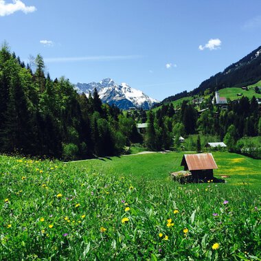 Zwerwald