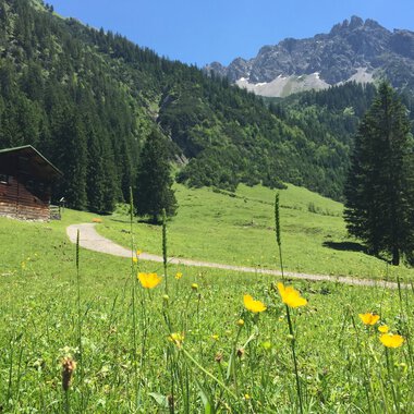 Gemsteltal im Sommer