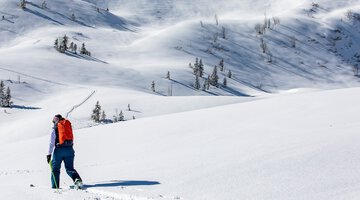 Skitour im Schwarzwassertal