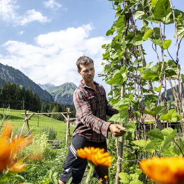 Ein Mann arbeitet in einem Garten mit blühenden Blumen und einem grünen Feld im Hintergrund. Die Berge sind sichtbar unter einem blauen Himmel. | © Kleinwalsertal Tourismus | Dominik Berchtold