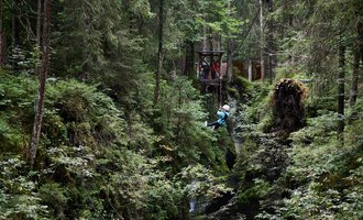Ein abenteuerlicher Wald mit dichten Bäumen und lianen. Eine Person schwingt zwischen den Bäumen, während eine andere auf einer Plattform in der Höhe steht. | © Kleinwalsertal Tourismus | Oliver Farys