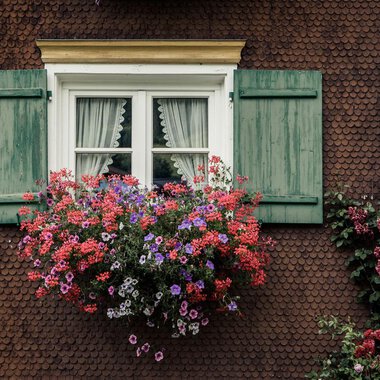 A window with green shutters and a colorful flower box. The flowers are in various colors, creating a lively atmosphere.