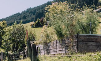 Ein schöner Garten mit Holzzaun und üppiger Vegetation. Im Hintergrund erheben sich sanfte Hügel umgeben von Bäumen. | © Das Naturhotel Chesa Valisa