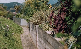 Ein schmaler Holzweg führt durch einen Garten mit grünen Pflanzen und Blumen. Im Hintergrund sind sanfte Hügel und ein blauer Himmel zu sehen. | © Das Naturhotel Chesa Valisa
