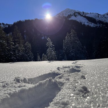 Eine verschneite Landschaft mit Fußspuren im Schnee. Im Hintergrund sind Bäume und Berge unter einem klaren Himmel sichtbar. | © Kleinwalsertal Tourismus eGen | Ken Gibson