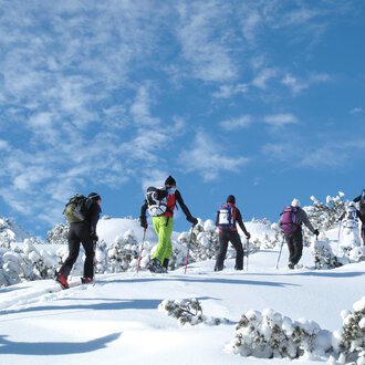 Eine Gruppe von Menschen wandert durch schneebedeckte Landschaften. Der Himmel ist klar und blau. | © Kleinwalsertal Tourismus | Frank Drechsel