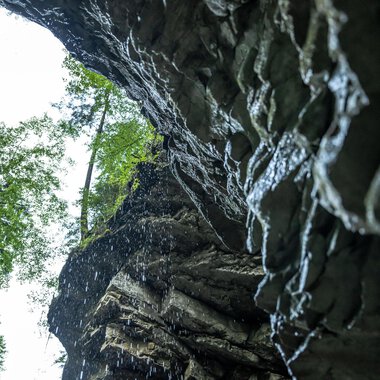 An impressive rock formation with a waterfall, surrounded by green trees. The view is upward, the sky is cloudy. | © Breitachklammverein eG | Dominik Berchtold