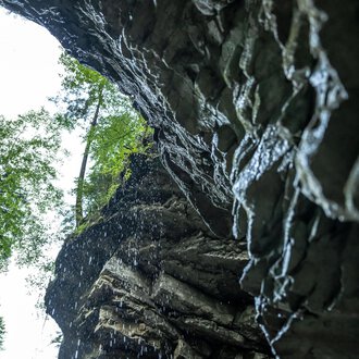 © Breitachklammverein eG | Dominik Berchtold Eine imposante Felsformation mit Wasserfall, umgeben von grünen Bäumen. Der Blick ist nach oben gerichtet, der Himmel ist bewölkt. | © Breitachklammverein eG | Dominik Berchtold