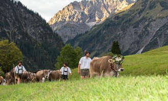 A group of people is herding cows across a green meadow in the mountains. The landscape is surrounded by majestic mountains, and the atmosphere is rural and peaceful.