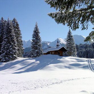Eine verschneite Landschaft mit hohen Tannenbäumen und einem kleinen Holzhaus. Im Hintergrund sind die schneebedeckten Berge und ein klarer blauer Himmel zu sehen.
