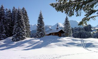 Eine verschneite Landschaft mit hohen Tannenbäumen und einem kleinen Holzhaus. Im Hintergrund sind die schneebedeckten Berge und ein klarer blauer Himmel zu sehen.