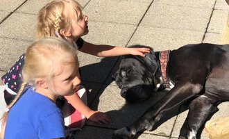 Zwei Kinder spielen mit einem großen Hund, der entspannt auf dem Boden liegt. Die Sonne scheint und die Atmosphäre ist freundlich und fröhlich.