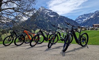 A row of bicycles stands on a path with an impressive mountain backdrop in the background. The sky is clear and the landscape features fresh, green grass. | © Austrian Ski- & Service Ranch | Trixi Leitner