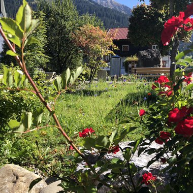 Ein schöner Garten mit bunten Blumen und frischem Grün. Im Hintergrund sind Bäume und ein Haus mit Bergen zu sehen. | © Kleinwalsertal Tourismus | Louisa Hieke