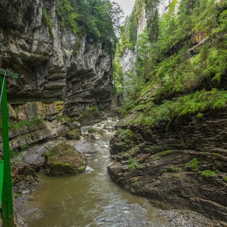 © Kleinwalsertal Tourismus | Steffen Berschin Eine beeindruckende Schlucht mit steilen Felswänden und einem fließenden Wasserlauf. Üppiges Grün umgibt den Fluss und schafft eine ruhige Atmosphäre. | © Kleinwalsertal Tourismus | Steffen Berschin
