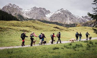 A group of hikers with dogs is walking a path through green meadows. In the background, impressive snow-capped mountains are visible. | © Hundewelt Kleinwalsertal | Stefan Lindbauer