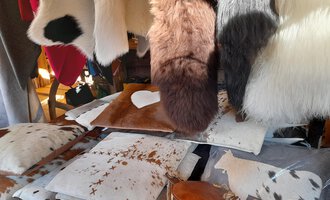Eine Auswahl an dekorativen Kissen und Fellmaterialien. Die Kissen sind in verschiedenen Farben und Mustern gestaltet. | © iKuh Schöne Ideen | Daniela Neumann