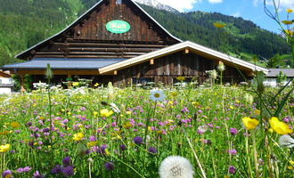 Ein charmantes Holzgebäude umgeben von bunten Blumenwiesen. Im Hintergrund sind sanfte Berge und ein blauer Himmel zu sehen. | © iKuh Schöne Ideen | Daniela Neumann