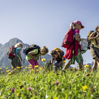 © Kleinwalsertal Tourismus | Oliver Farys A group of children explores a blooming meadow in the mountains. They collect flowers and enjoy nature on a sunny day. | © Kleinwalsertal Tourismus | Oliver Farys