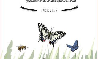 A book cover illustration titled "The Great Naturalist Adventure". It shows various insects, including butterflies and beetles, surrounded by green grasses. | © Kleinwalsertal Tourismus eGen