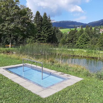 Ein kleiner Pool in einer grünen Umgebung mit Bäumen und einer ruhigen Wasserfläche im Hintergrund. Die Landschaft ist sanft hügelig und lädt zur Entspannung ein. | © Kleinwalsertal Tourismus | Veronika Senn