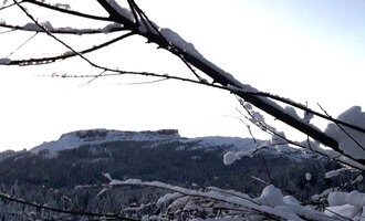 A winter landscape with a snow-covered ground and bare branches. In the background, snow-covered mountains and a clear sky can be seen. | © Panoramahütte