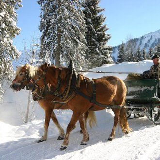 © Otto Berwanger A horse-drawn sleigh ride through a snowy winter landscape. Trees and mountains are visible in the background. | © Otto Berwanger