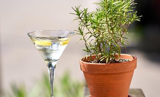 Ein eleganter Martini in einem Glas steht neben einem Topf mit frischem Rosmarin. Im Hintergrund sind unscharfe grüne Pflanzen sichtbar. | © Hotel Tradizio | © Annette Sandner