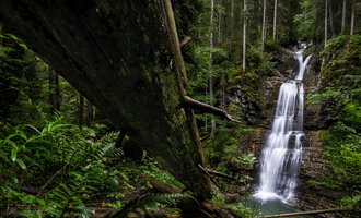 Ein schöner Wasserfall, der durch einen dichten Wald fließt. Umgeben von grünen Pflanzen und hohen Bäumen. | © Kleinwalsertal Tourismus | Dominik Berchtold