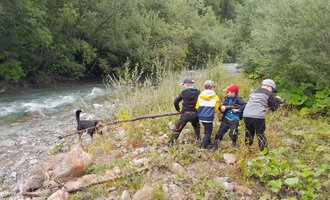 Eine Gruppe von Kindern steht am Ufer eines Flusses und zieht an einem Stock. Im Hintergrund sind Bäume und das fließende Wasser zu sehen. | © Wildnisschule Kleinwalsertal