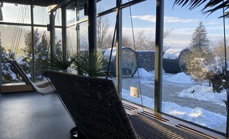 Ein gemütlicher Raum mit Schaukeln und großen Fenstern, die auf eine verschneite Landschaft blicken. Die Pflanzen im Innenraum sorgen für eine entspannte Atmosphäre. | © WONNEMAR Sonthofen | Julia Sondergelt