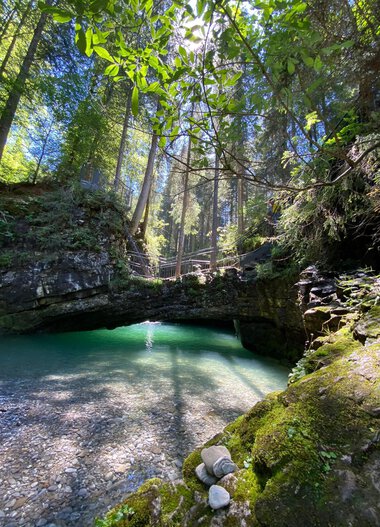 Wunderschöner Natursee in einem waldreichen Gebiet mit klarer, grüner Wasseroberfläche und Sonnenlicht, das durch die Baumwipfel scheint. | © Kleinwalsertal Tourismus eGen 