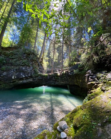 Wunderschöner Natursee in einem waldreichen Gebiet mit klarer, grüner Wasseroberfläche und Sonnenlicht, das durch die Baumwipfel scheint. | © Kleinwalsertal Tourismus eGen 