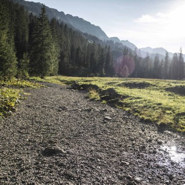 Ein Wanderweg im Schwarzwald, umgeben von Wald und Bergen, bei Sonnenlicht und klarem Himmel. | © Kleinwalsertal Tourismus eGen • Fotograf: Andre Tappe