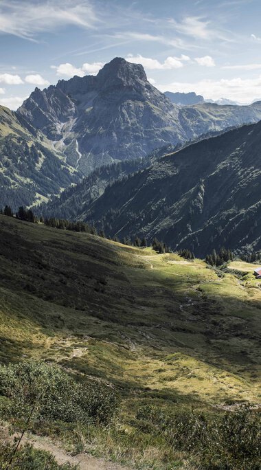 Weitblick auf grüne Berge und Täler im Schwarzwald mit Bergen im Hintergrund an einem sonnigen Tag. | © Kleinwalsertal Tourismus eGen • Fotograf: Andre Tappe