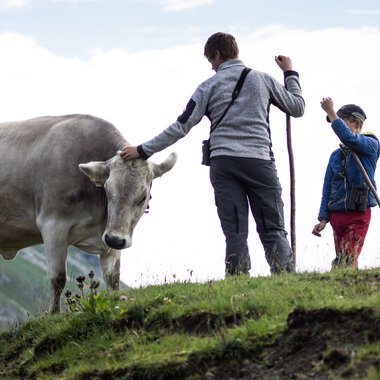 Zwei Menschen, ein Erwachsener und ein Kind, stehen auf einer Wiese mit einem weißen Kuh. Der Erwachsende streichelt die Kuh, während das Kind in der Nähe ist. | © Kleinwalsertal Tourismus eGen • Fotograf: Andre Tappe