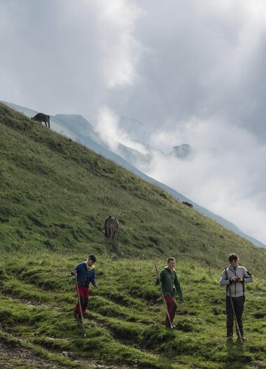 Drei Wanderer auf einer grünen Bergwiese mit Blick auf Wolken und den Widderstein, im Hintergrund andere Wanderer. | © Kleinwalsertal Tourismus eGen • Fotograf: Andre Tappe