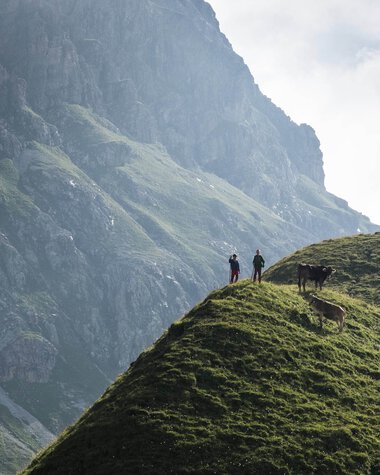Zwei Personen mit einem Hund auf einer grünen Hügelkuppe vor beeindruckender Bergkulisse im Hintergrund. | © Kleinwalsertal Tourismus eGen • Fotograf: Andre Tappe