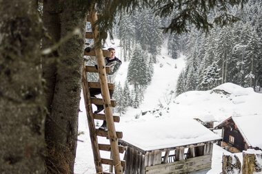 Frau beim Wildfüttern in einer verschneiten Winterlandschaft, sitzend auf einem Holztreppengerüst neben einem Baum | © Kleinwalsertal Tourismus eGen • Fotograf: Andre Tappe