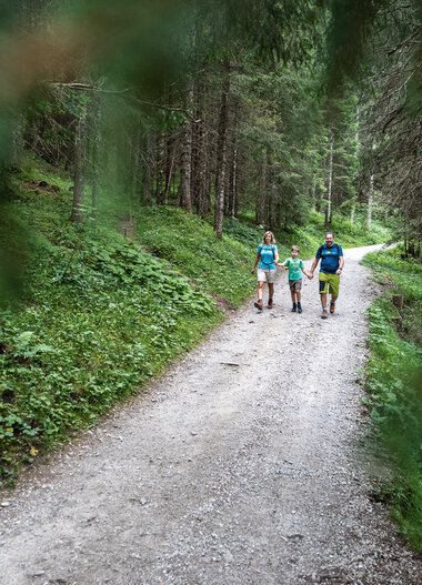 Familie wandert auf einem Waldweg im Gemsteltal, umgeben von Bäumen und grüner Natur. | © Kleinwalsertal Tourismus eGen • Fotograf: Bastian Morell