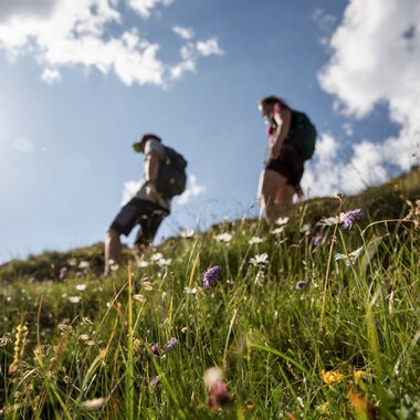 Two hikers walking on a green mountain meadow with flowers under a blue sky with clouds. | © Kleinwalsertal Tourismus eGen • Photographer: Bastian Morell