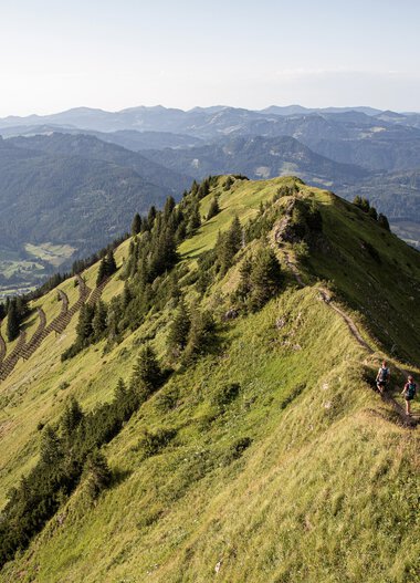Wanderer auf einem schmalen Grat auf der Gehrenspitze mit Blick auf die umliegenden Berge in den Alpen. | © Kleinwalsertal Tourismus eGen • Fotograf: Bastian Morell