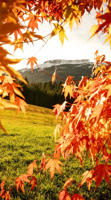 © Kleinwalsertal Tourismus eGen • Fotograf: Dominik Berchthold