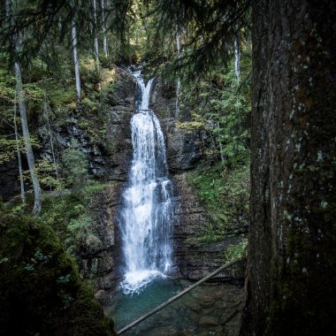 Ein Wasserfall im Schwarzwald, umgeben von grünen Bäumen und Felsen, mit Wasser, das in einen kleinen Pool darunter fließt. | © Kleinwalsertal Tourismus eGen • Fotograf: Dominik Berchtold