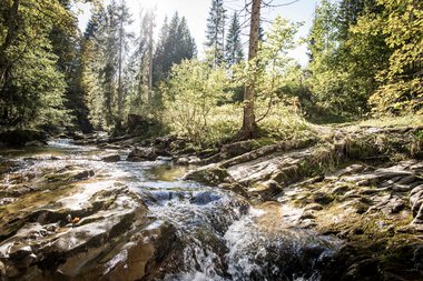 Ein klarer Bach fließt durch ein Waldgebiet mit grünen Bäumen und Felsen im Südwesten Deutschlands, umgeben von Natur und Sonnenlicht. | © Kleinwalsertal Tourismus eGen • Fotograf: Dominik Berchtold