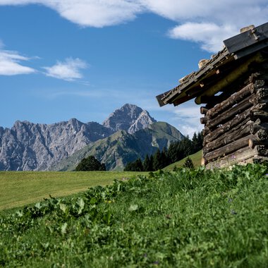 Altes Holzhaus auf grüner Wiese mit Bergen im Hintergrund, sonniger Tag, klares Blau im Himmel. | © Kleinwalsertal Tourismus eGen • Fotograf: Dominik Berchtold