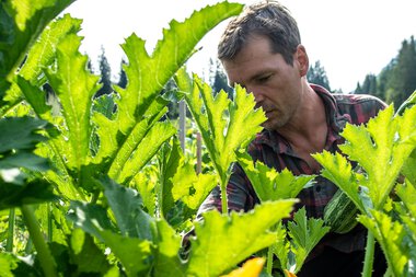 Mann in Permakultur-Garten während eines Sommershootings, umgeben von grünen Pflanzen und einer gelben Blume im Vordergrund. | © Kleinwalsertal Tourismus eGen • Fotograf: Dominik Berchtold